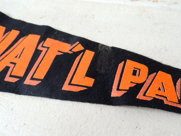 【1960's~ザイオン国立公園・ユタ州】ヴィンテージ・ペナント・旗 ・フラッグ・USA