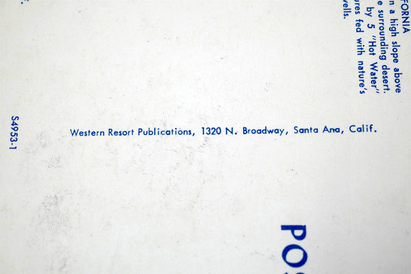 US デザートホットスプリングス カリフォルニア 美女 ビキニガール 写真 ビンテージ ポストカード