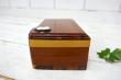 US グランドキャニオン カメオ スーベニア 木製 ヴィンテージ 宝石箱 木箱 ジュエリーケース