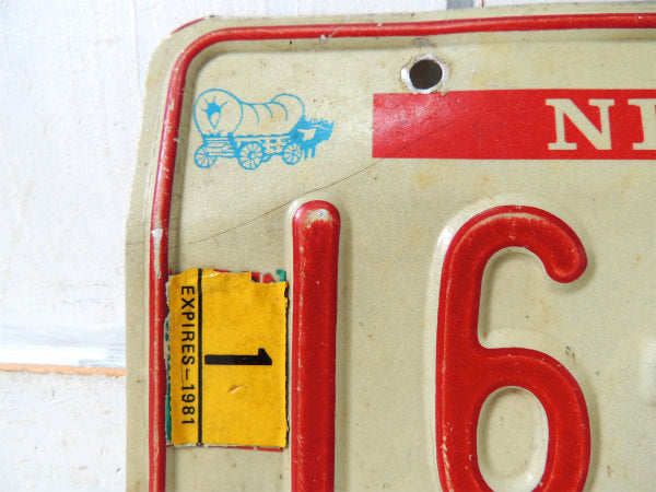 【ネブラスカ州・1776~1976】ヴィンテージ・ナンバープレート・カーライセンスプレート・USA