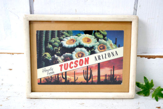 アリゾナ ツーソン・サボテン&サンセット・ヴィンテージ・ポストカード 絵葉書・印刷物 USA