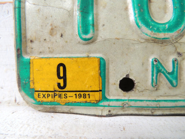 US ネブラスカ州・TRUCK・グリーン・1976 トラック ナンバー・ビンテージ・ナンバープレート