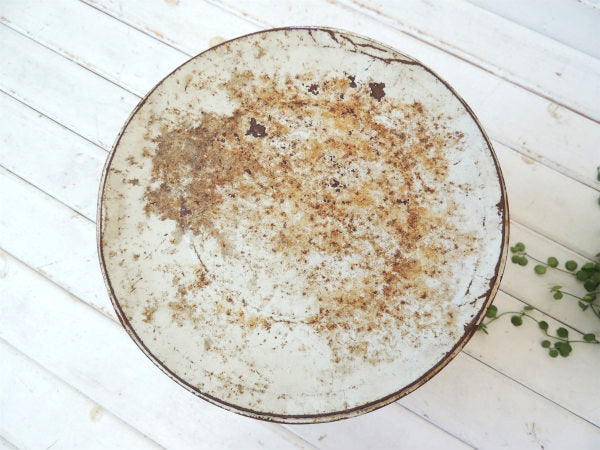 【Tasty Taters】ポテトチップス・ビンテージ・ティン缶/チップス缶/菓子缶 USA