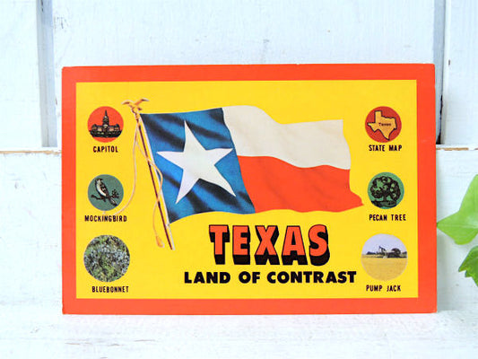 TEXAS・テキサス州 ★フラッグ・旗・1960s~1970s・ビンテージ・ポストカード・絵葉書