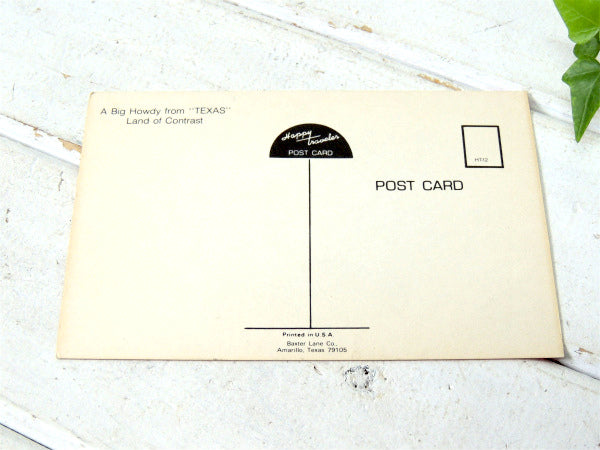 TEXAS・テキサス州 ★フラッグ・旗・1960s~1970s・ビンテージ・ポストカード・絵葉書