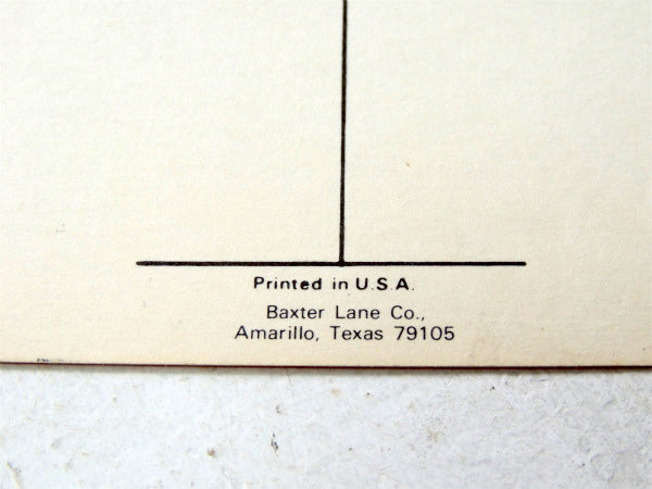 TEXAS・テキサス州 ★フラッグ・旗・1960s~1970s・ビンテージ・ポストカード・絵葉書