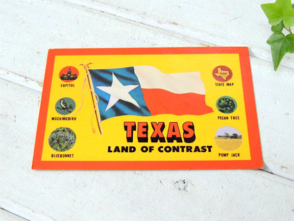 TEXAS・テキサス州 ★フラッグ・旗・1960s~1970s・ビンテージ・ポストカード・絵葉書