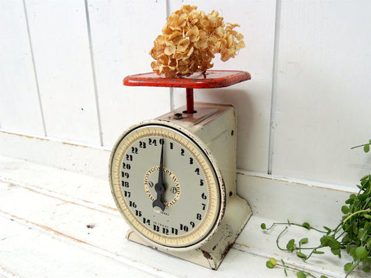 MONTGOMERY WARD アイボリー×赤・アンティーク・スケール・量り・キッチンスケール