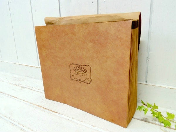 【Globe Weis】レザー柄クラフト紙製・ヴィンテージ・エキスパンディングファイル・書類ケース