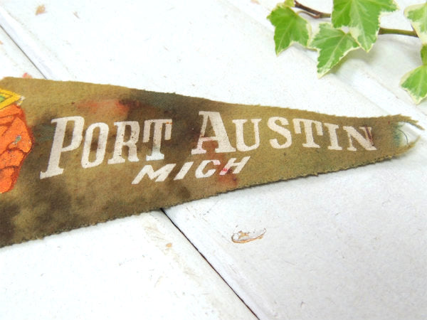 【1940's~・インディアン】ミシガン州・ヴィンテージ・ペナント・羽根つき