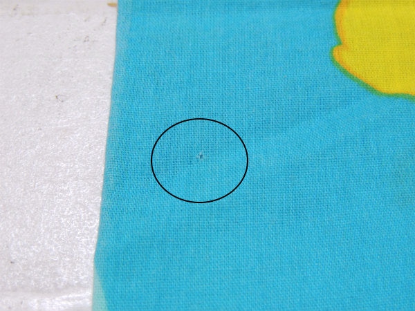 【ケアベア】Care Bears・太陽&レインボー柄・USEDピロケース/枕カバー