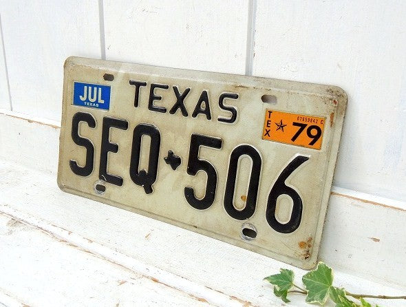 【TEXAS/テキサス州】ヴィンテージ・ナンバープレート/カーライセンスプレート