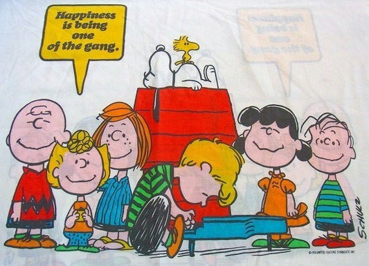 【スヌーピー】ピーナッツの仲間・70'sヴィンテージ・ユーズド・ピロケース/枕カバー USA