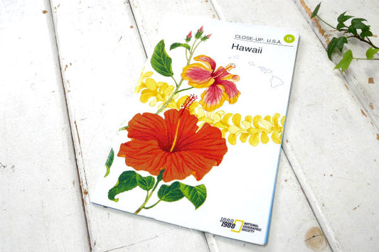 ハワイ HWAWAII オアフ島 マウイ島 カウアイ島・80s ビンテージ・マップ・地図 店内装飾