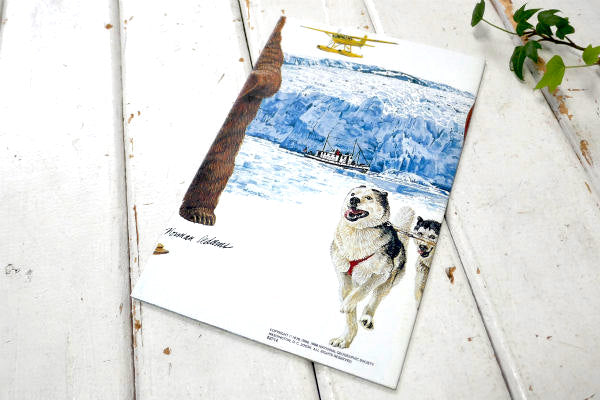 アラスカ Alaska カナダ ナショナル ジオグラフィック ・80's ヴィンテージ・マップ・地図