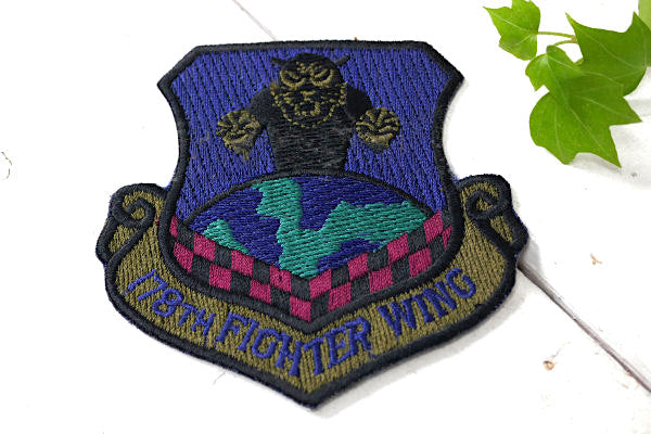 178 TH FIGHTER WING エアフォース アメリカ空軍 ビンテージ 刺繍 ワッペン