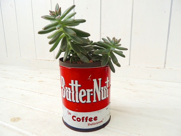 【Butter-Nut Coffee/LA】ブリキ製・ヴィンテージ・コーヒー缶/ガーデニング/USA