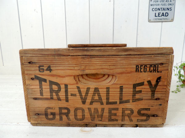 【TVC】カリフォルニアの農園・シャビーなヴィンテージ・ウッドボックス/木箱