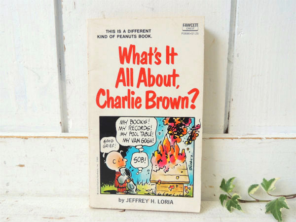 【ピーナッツの仲間たち】1969年・スヌーピー&チャーリーブラウン・ビンテージ・コミック・4コマ漫画