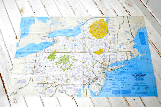 NY ニューヨーク USA ペンシルベニア ニュージャージー州 ヴィンテージ マップ 地図　印刷物