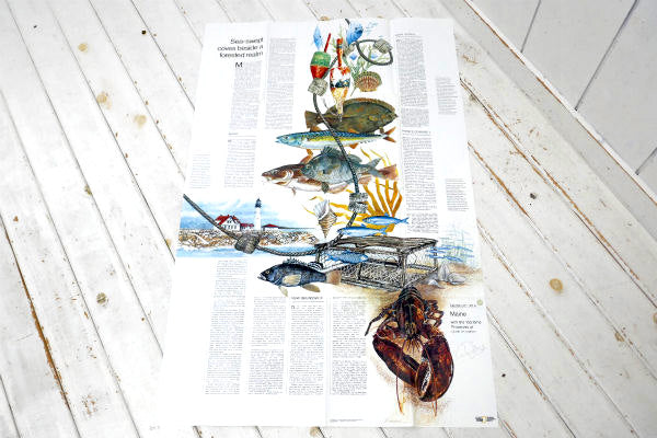 メイン州 USA ナショナル ジオグラフィック 1988年製・ヴィンテージ・マップ 地図