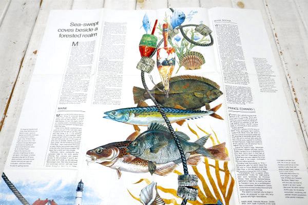 メイン州 USA ナショナル ジオグラフィック 1988年製・ヴィンテージ・マップ 地図