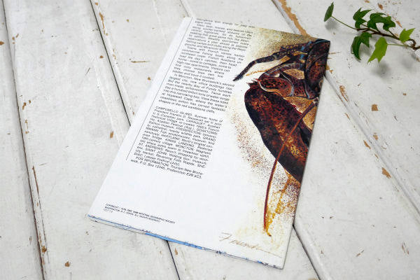 メイン州 USA ナショナル ジオグラフィック 1988年製・ヴィンテージ・マップ 地図