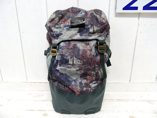 ザ・ノースフェイス　NORTH FACE・バックパック・ホームステッド・ロードトリッパーパック