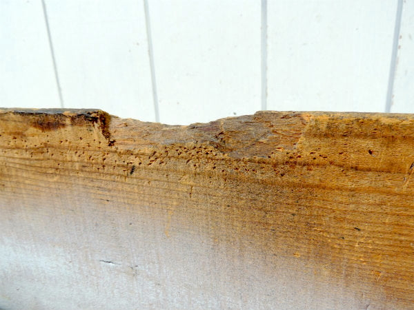 FLOTILL CALIF・US カリフォルニア・ヴィンテージ・ウッドボックス・木箱・ガレージ