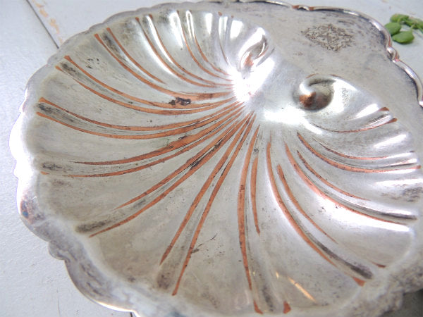 【Dodge Inc】シルバー製・シェル型・脚付きアンティーク・ソープディッシュ/トレイ