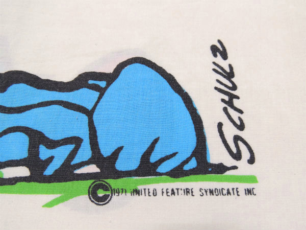 【スヌーピー&ライナス】USA!70'sヴィンテージ・ユーズド・ピロケース/枕カバー