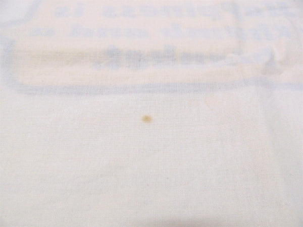 【スヌーピー&ライナス】USA!70'sヴィンテージ・ユーズド・ピロケース/枕カバー