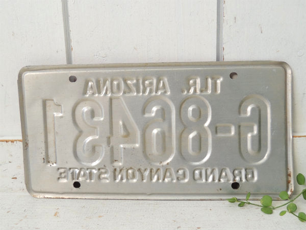 【グランドキャニオン】アリゾナ州・赤・ヴィンテージ・ナンバープレート・カーライセンスプレート・USA