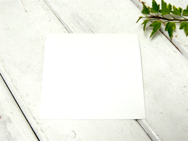 【GREEN FUZ/カリフォルニア】グリーンファズ・オリジナル・ステッカー・サーフブランド・USA