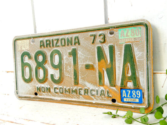 NON COMMRCIAL 1973~アリゾナ州・ビンテージ・ナンバープレート・カーライセンス