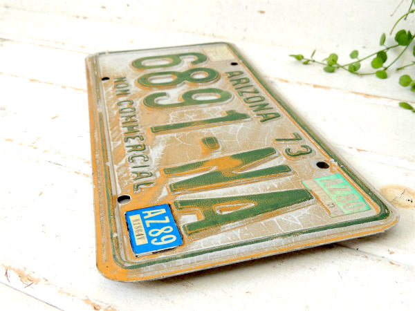 NON COMMRCIAL 1973~アリゾナ州・ビンテージ・ナンバープレート・カーライセンス