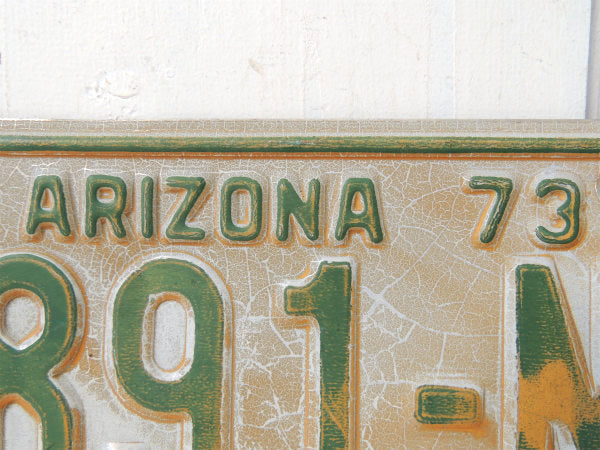 NON COMMRCIAL 1973~アリゾナ州・ビンテージ・ナンバープレート・カーライセンス