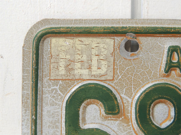 NON COMMRCIAL 1973~アリゾナ州・ビンテージ・ナンバープレート・カーライセンス