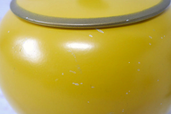 アップル りんご型 アルミ 50〜60s ヴィンテージ キャニスター 2個 キッチン雑貨 USA