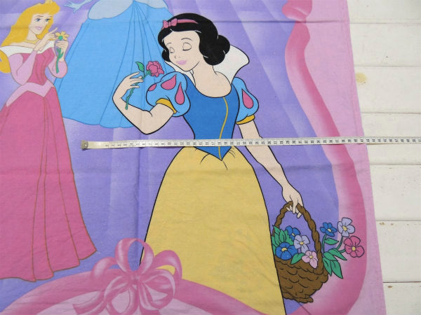【ディズニープリンセス】シンデレラ&白雪姫&オーロラ姫&ベル・両面タイプ・ラメ入り・タペストリー