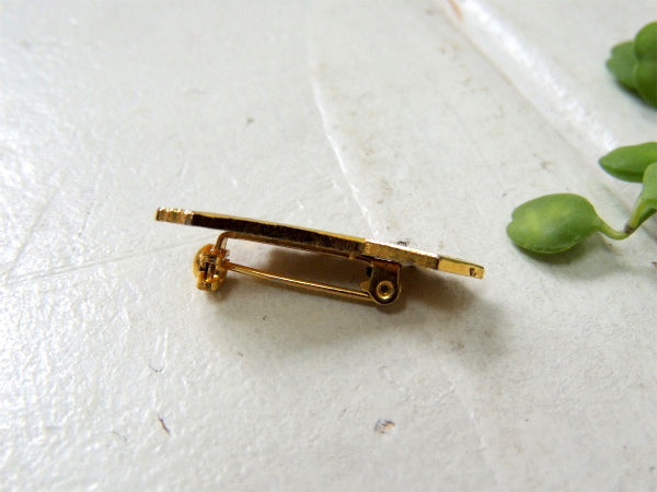 カリフォルニア州 地図 CAL.SWIMMING 水泳 ヴィンテージ・ブローチ・アクセサリー・1950's~