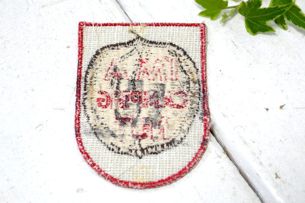 I'M A CAMPING NUT キャンプ 大好き USA ビンテージ・デッドストック・ワッペン