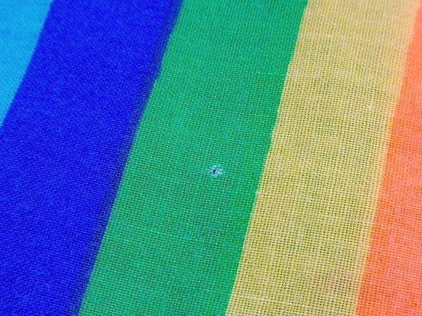 【スヌーピー&ウッドストック】レインボー柄・ヴィンテージ・ユーズド・ピロケース/枕カバー USA