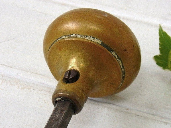 古い真鍮製・アンティーク・ドアノブ/建材　USA