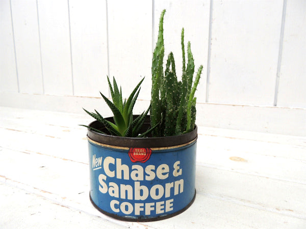 【Chase&Sanborn】NY・COFFEE・青色・シャビーなヴィンテージ・コーヒー缶/ティン缶