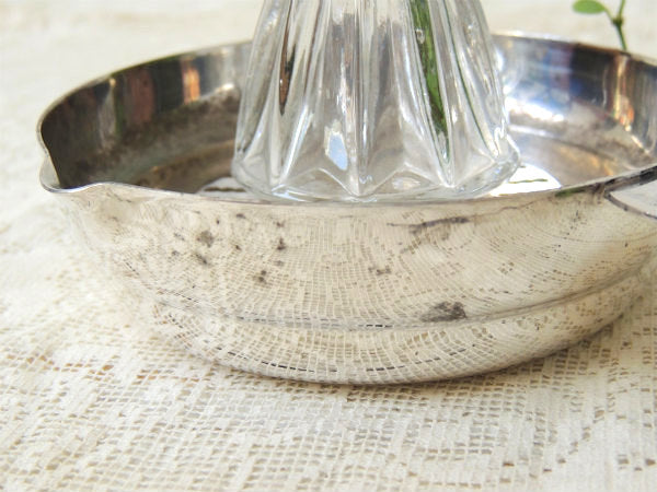 FRANCE フランス　シルバー×ガラス製　アンティーク　レモン絞り器　キッチン雑貨 スクイザー　ジューサー