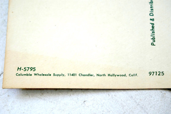 LAKE HENSHAW アメ車・キャンピングカー キャビン ヴィンテージ・ポストカード　USA