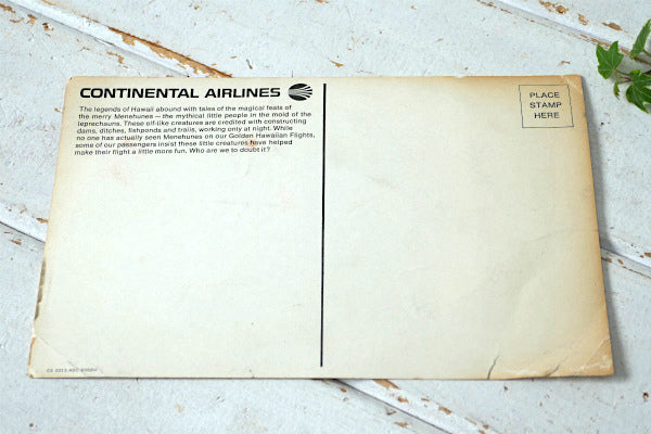 Hawaii ハワイ CONTINENTAL AIRLINES コンチネンタル エアーライン 航空 ヴィンテージ・絵葉書 ポストカード
