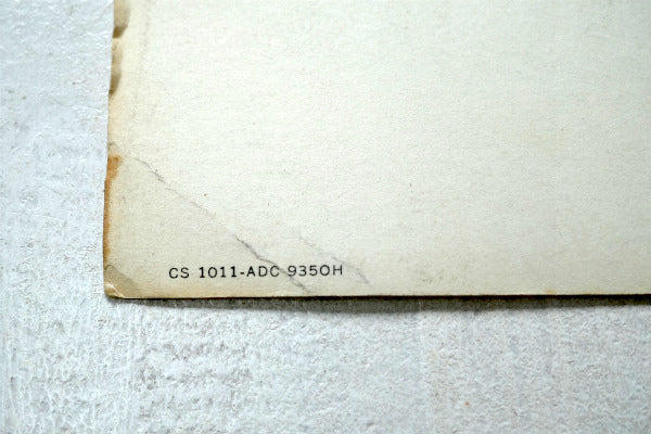 Hawaii ハワイ CONTINENTAL AIRLINES コンチネンタル エアーライン 航空 ヴィンテージ・絵葉書 ポストカード