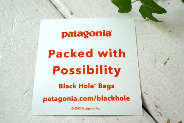 パタゴニア patagonia ブルー×オレンジ ゴー go ステッカー ブラックホール バッグ ステッカー 非売品